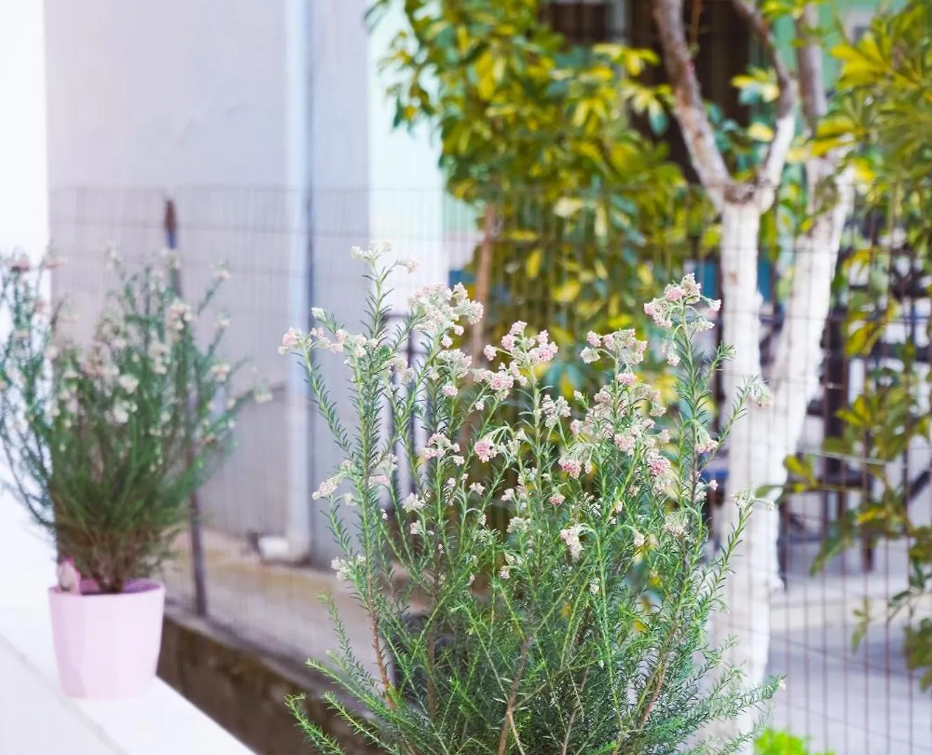Dolanit Apartments Durrës